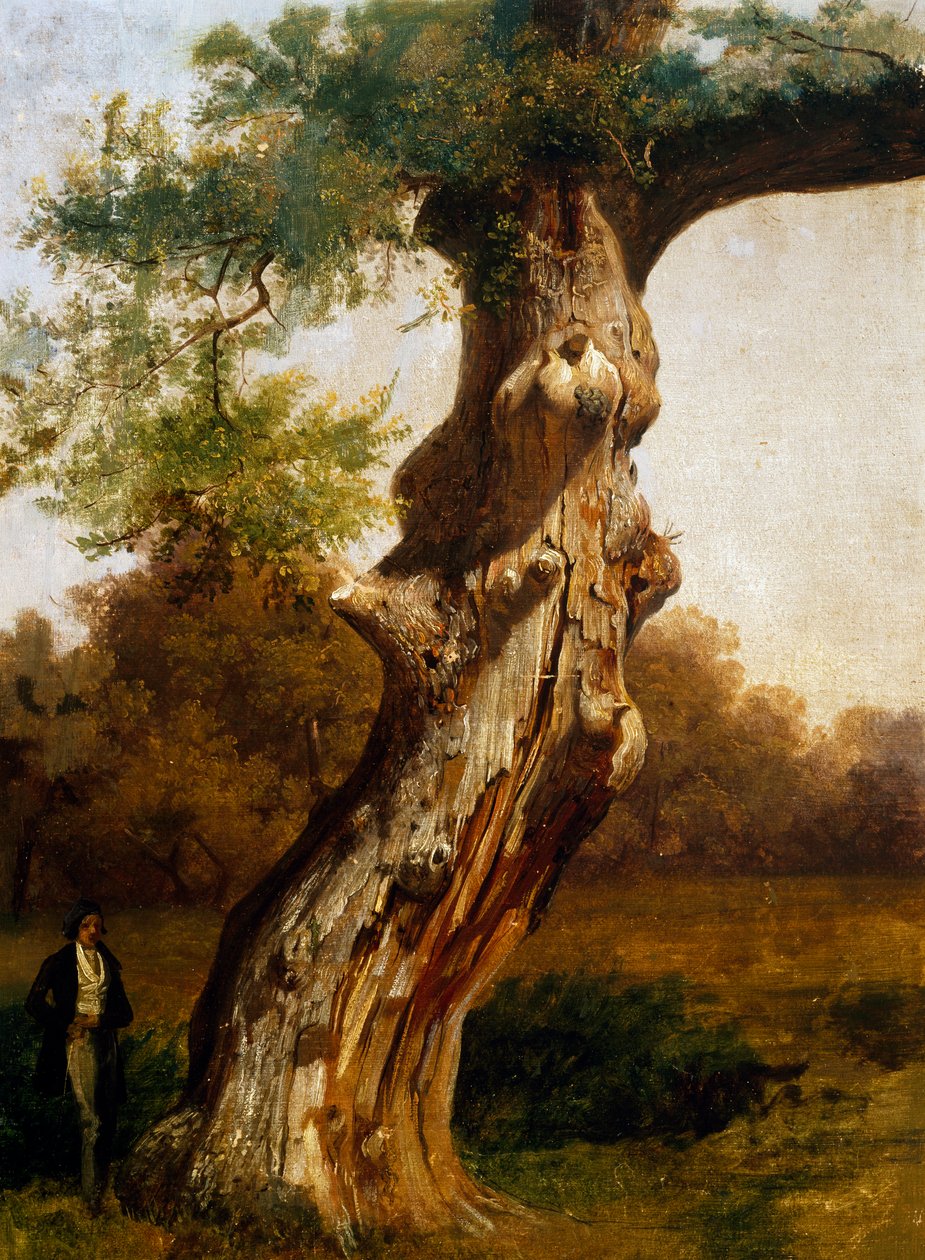 A fa (olaj, vászon) alkotó: Filippo Palizzi