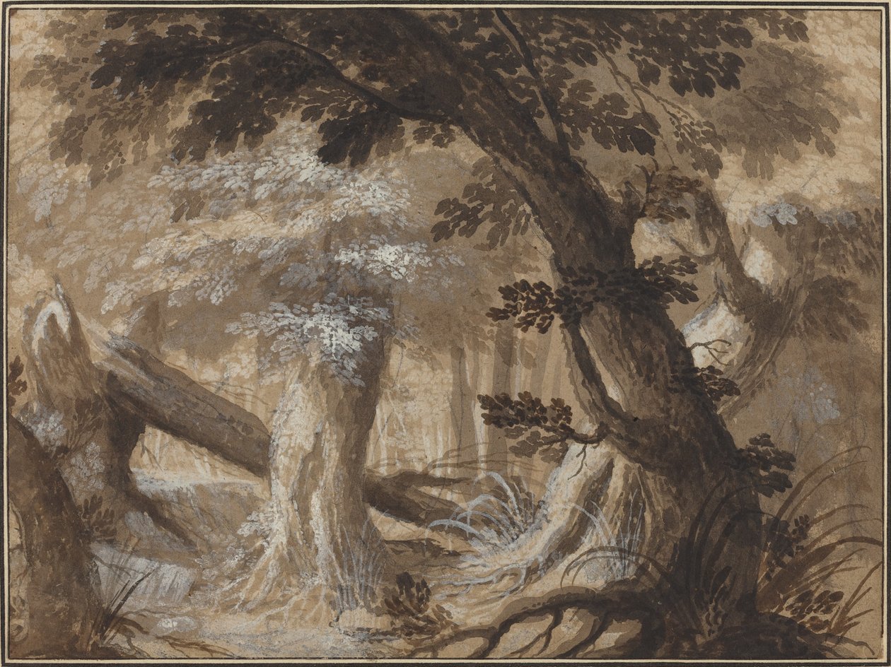Erdő belső alkotó: Flemish 17th Century