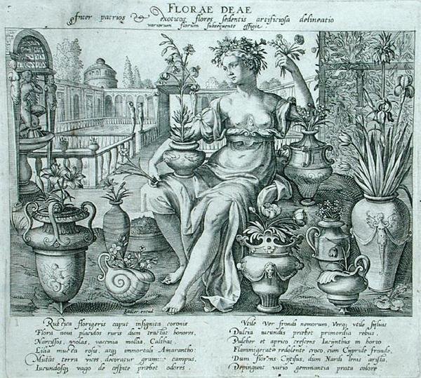 Flóra (gravírozás) alkotó: Flemish School