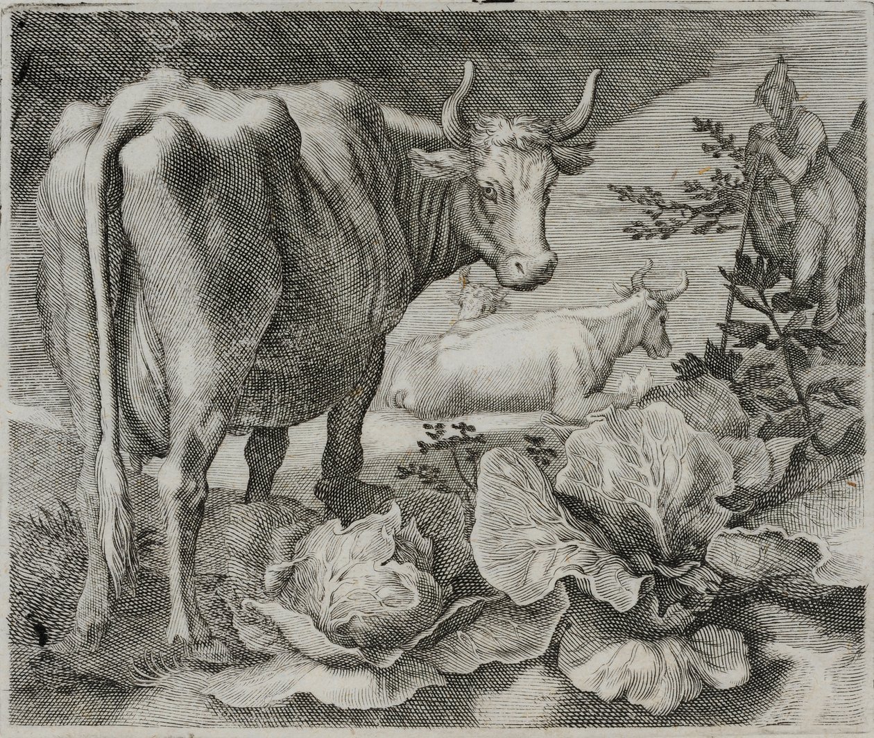 Old Master Metszet alkotó: Flemish School