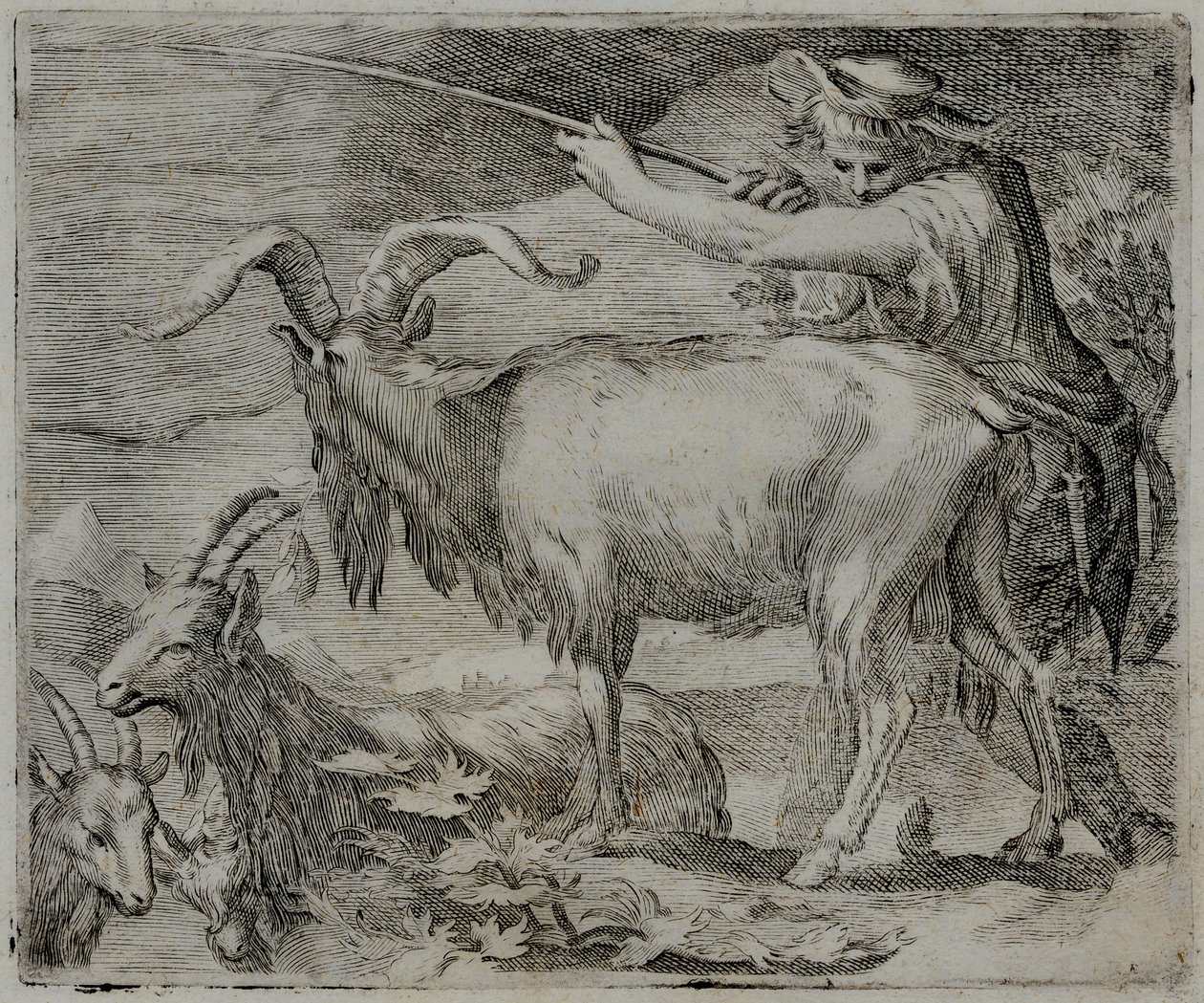 Old Master Metszet alkotó: Flemish School