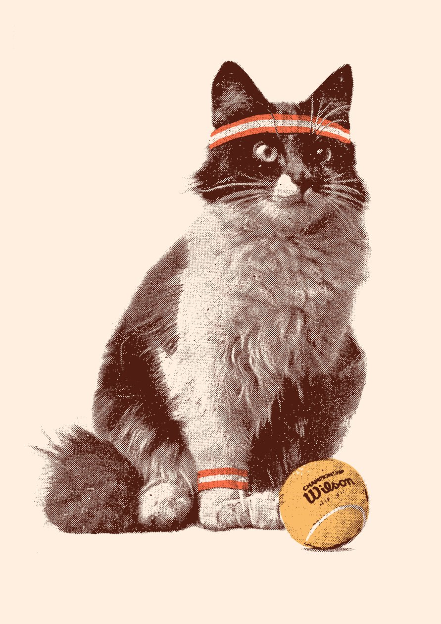 Teniszmacska, 2021 (digitális) alkotó: Florent Bodart