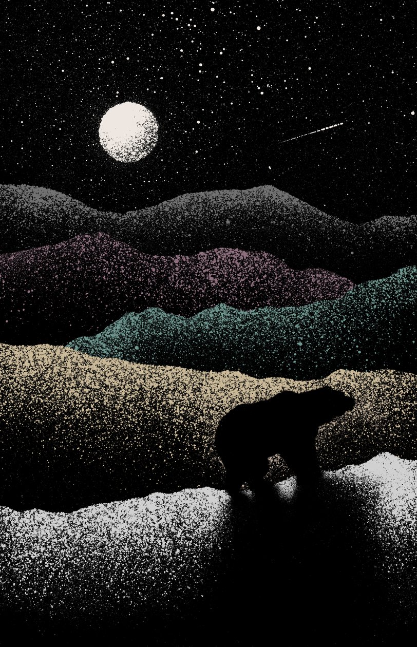 vándormedve, 2019 (digitális) alkotó: Florent Bodart