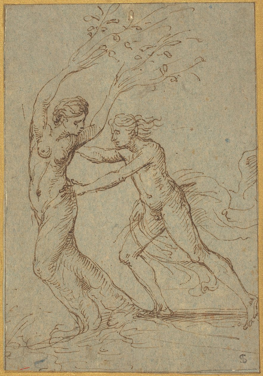 Apollo és Daphne alkotó: Follower of Giulio Romano