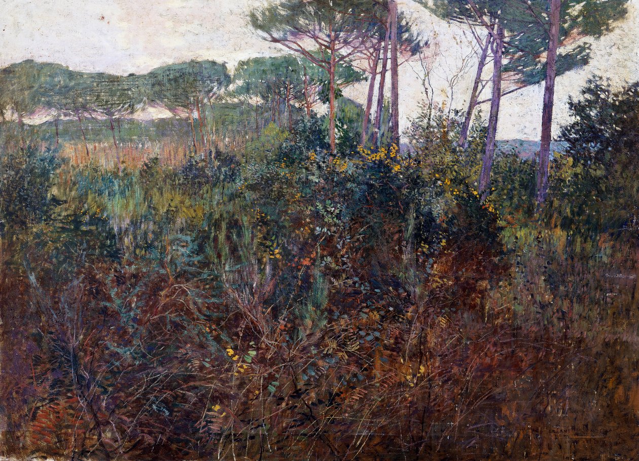 Fenyőerdők Torre del Lago-ban alkotó: Francesco Fanelli