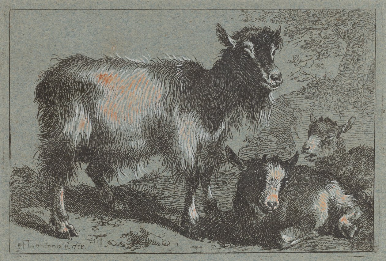 Kecske és két kölyök, 1758. alkotó: Francesco Londonio