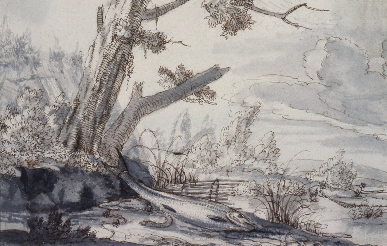Fogoly és szalonka, 17. század (rajz) alkotó: Francis Barlow