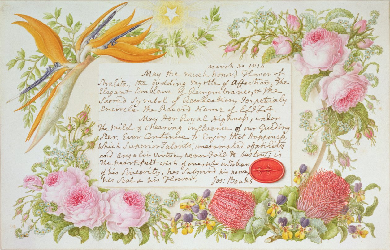 Vegyes virágcsokor Joseph Banks feliratos üzenetével, 1814 (wc, papír) alkotó: Francis Bauer