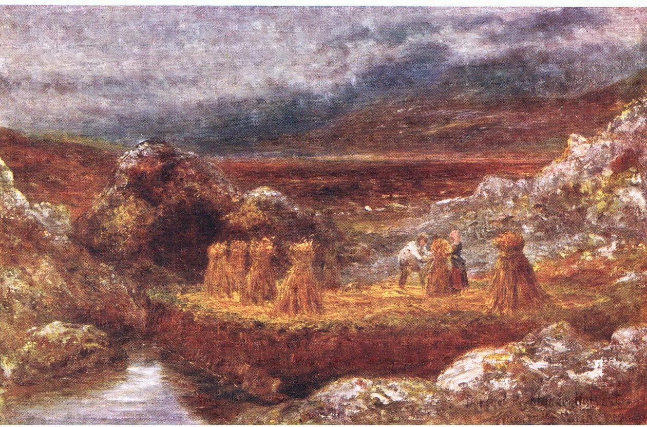 Donegal aratás, a Peeps at Many Lands: Irelandből, kiadó: Adams & Charles, 1909 alkotó: Francis S. Walker