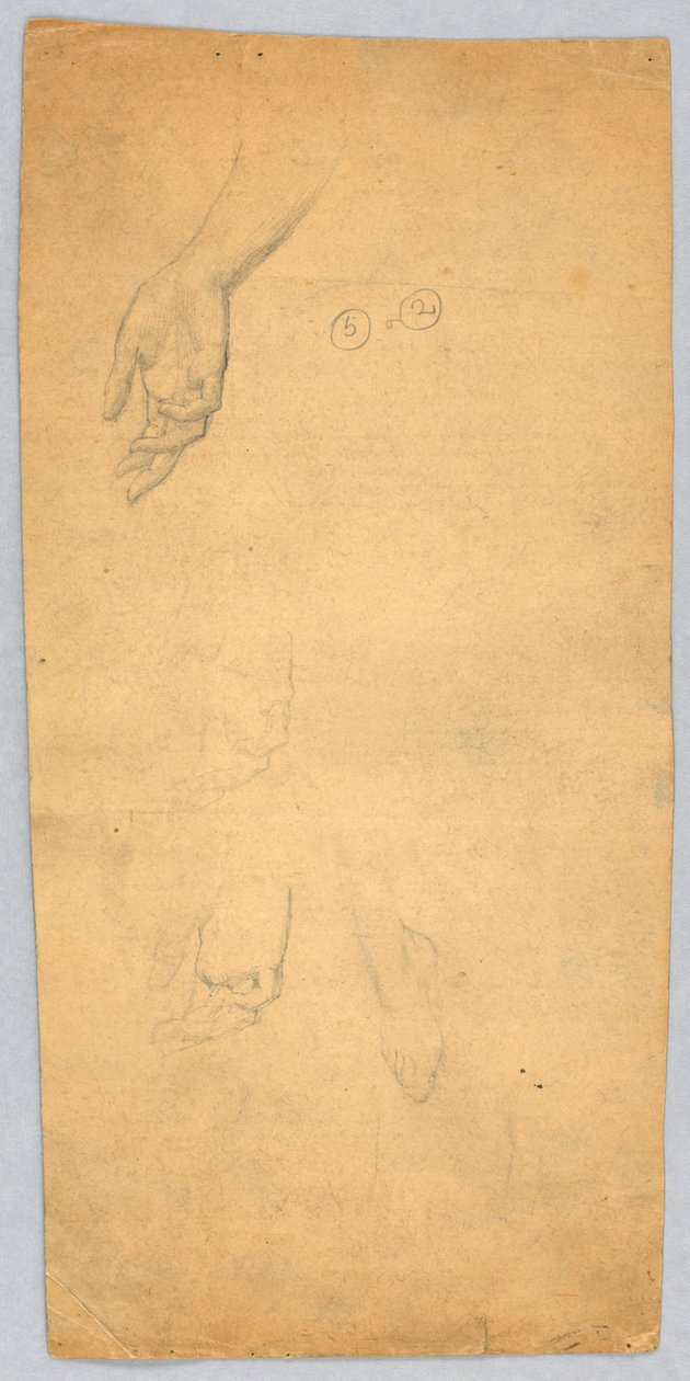 Tanulmányok a kézről és a lábról alkotó: Francis Augustus Lathrop