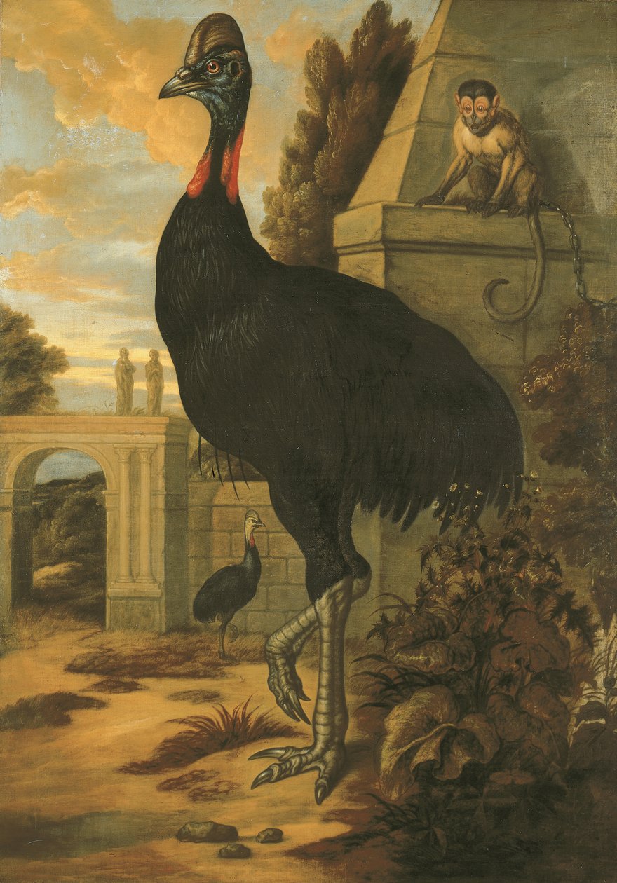 Egy kazuár alkotó: Francis Barlow