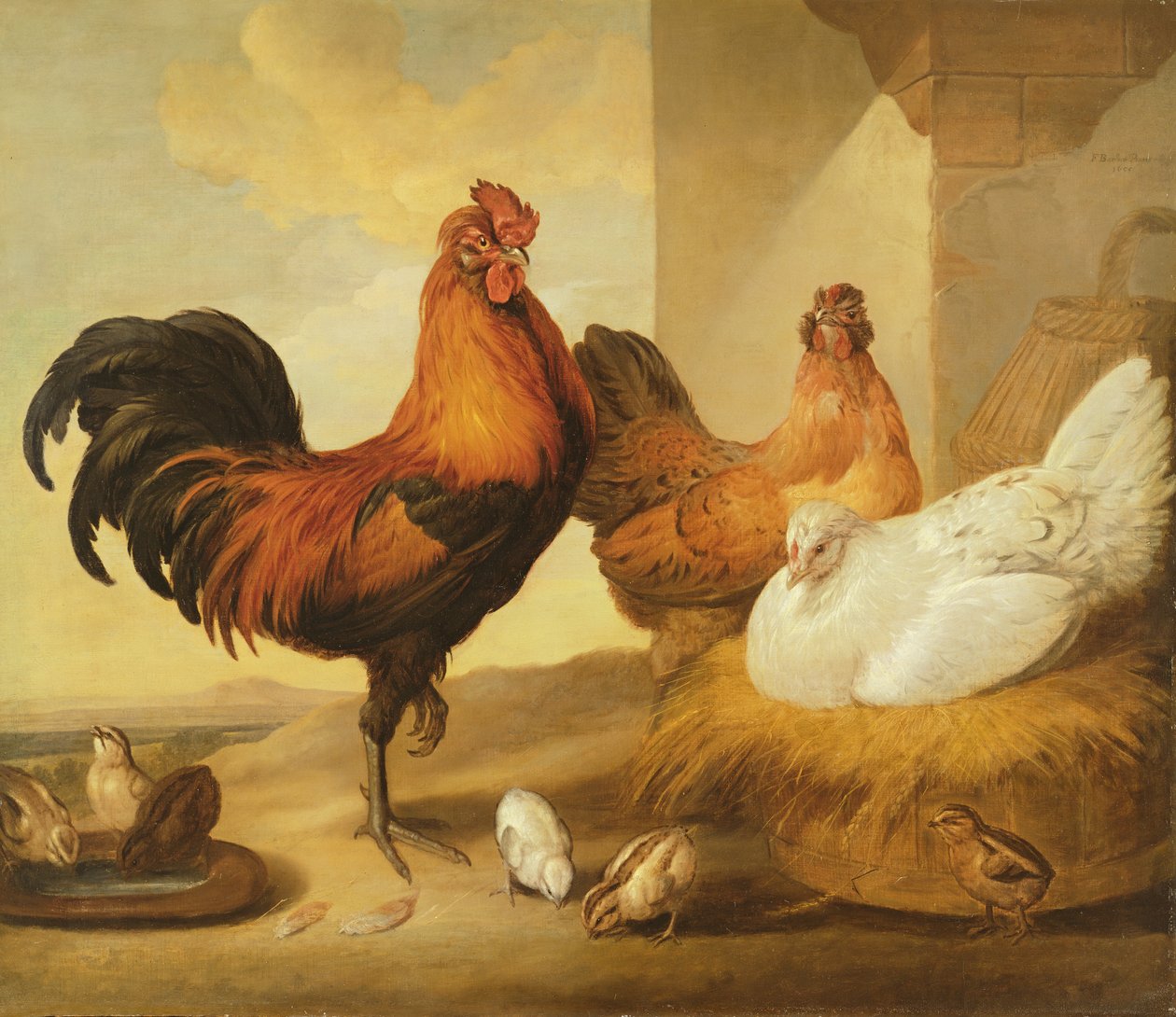 Házi kakas, tyúkok és csibék, 1655 alkotó: Francis Barlow