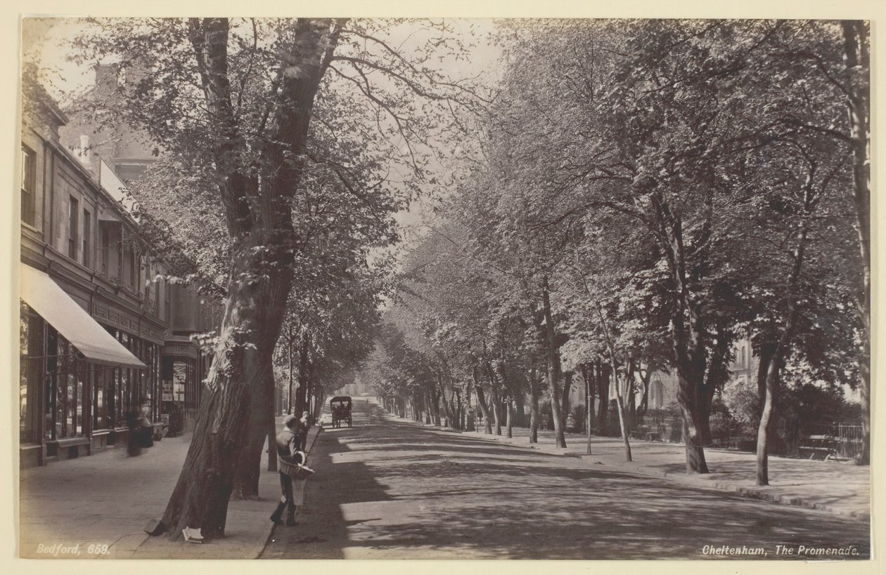 Cheltenham, a sétány, 186094. alkotó: Francis Bedford