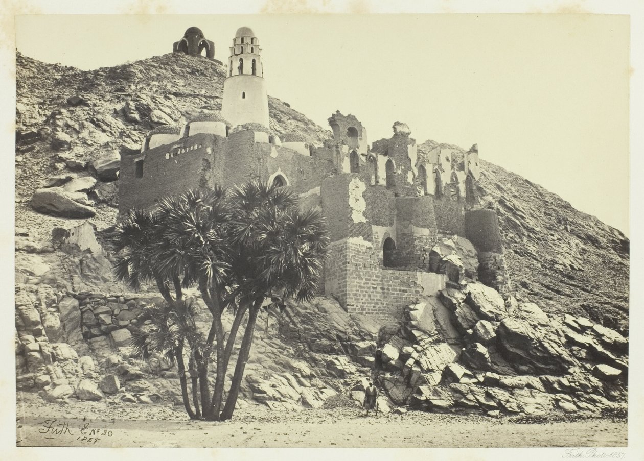 Doum Pálma és rommecset, Philæ alkotó: Francis Frith