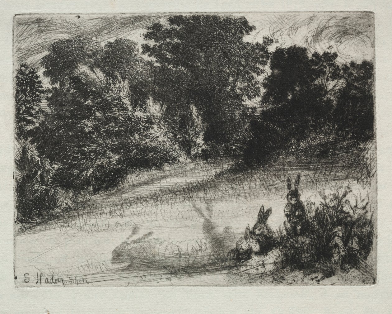 Fésű alsó. alkotó: Francis Seymour Haden