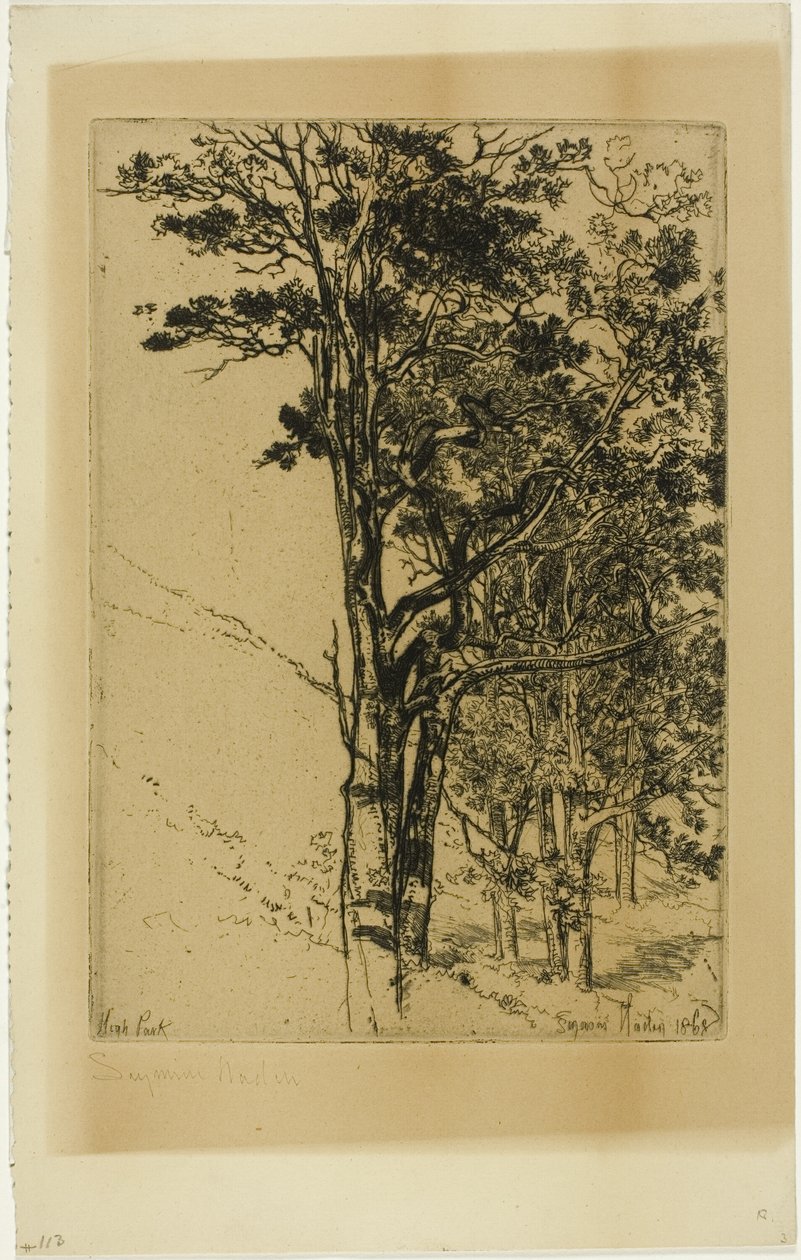 Fenyők (egy tanulmány) alkotó: Francis Seymour Haden