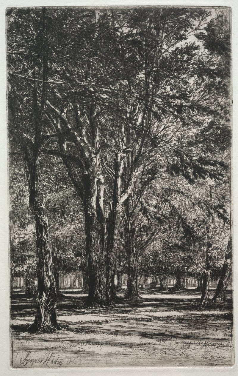 Kensington Gardens (The Large Plate) alkotó: Francis Seymour Haden