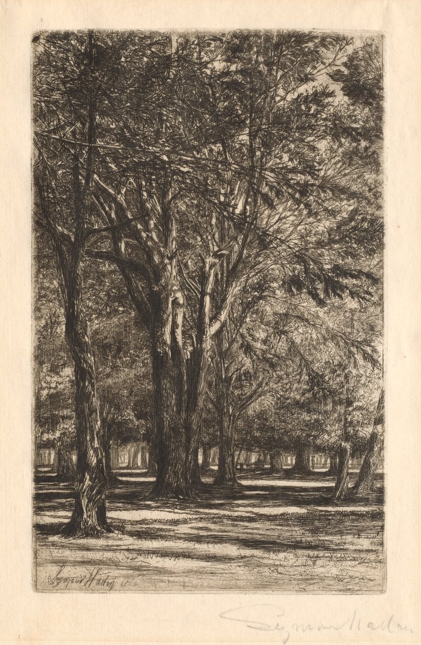 Kensington Gardens, No. 2 (nagy tányér) alkotó: Francis Seymour Haden