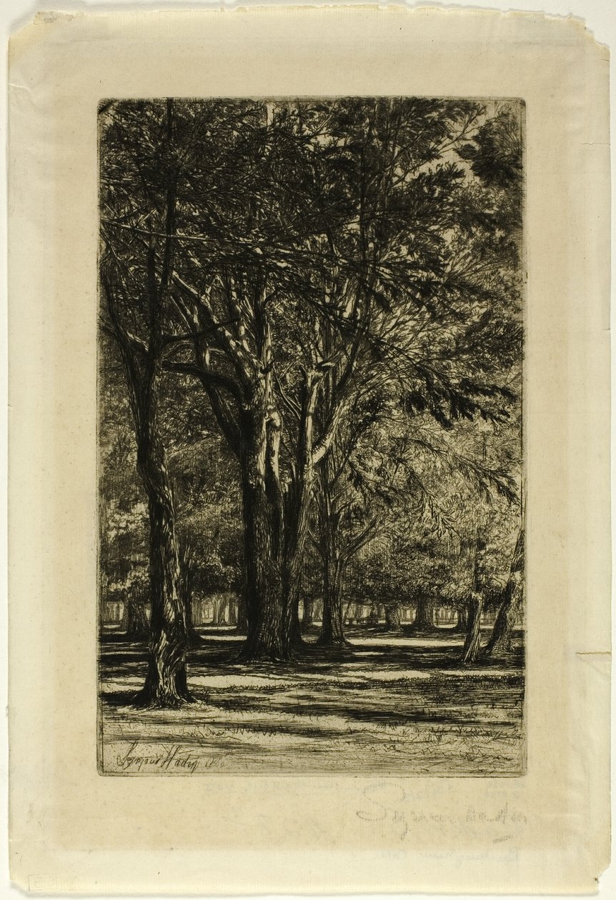 Kensington Gardens, No. II (nagy lemez) alkotó: Francis Seymour Haden