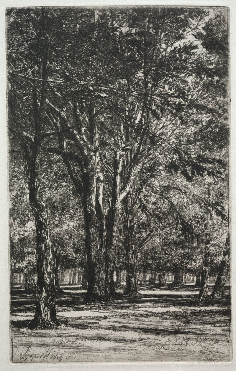 Kensington Gardens The Large Plate, 1860. alkotó: Francis Seymour Haden