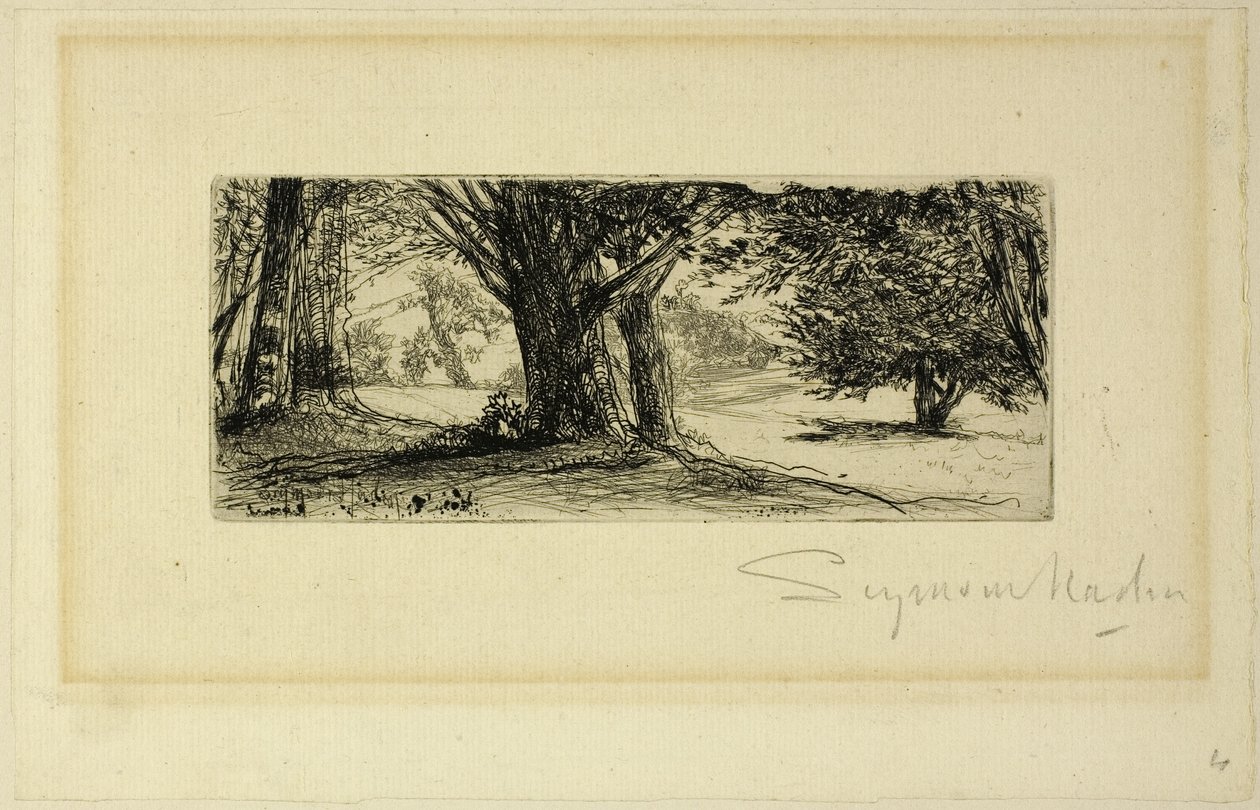 A Holly Fields alkotó: Francis Seymour Haden