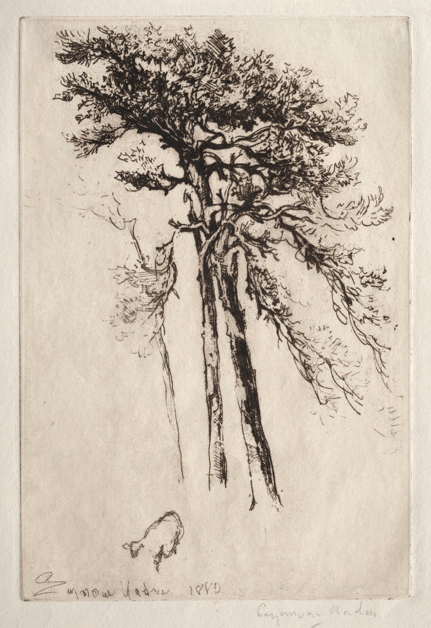 A legújabb fa, 1882. alkotó: Francis Seymour Haden