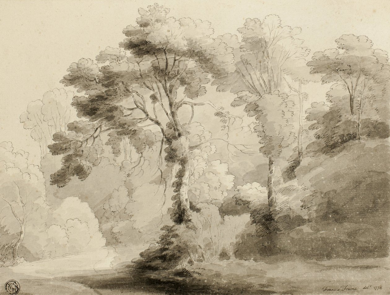Erdős táj, 1774 alkotó: Francis Towne