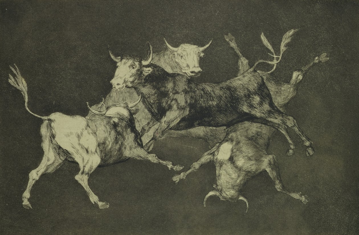 Folly of the Bulls, a Follies sorozatból, 1815-24 körül (rézkarc és akvatinta japán papírra) alkotó: Francisco de Goya