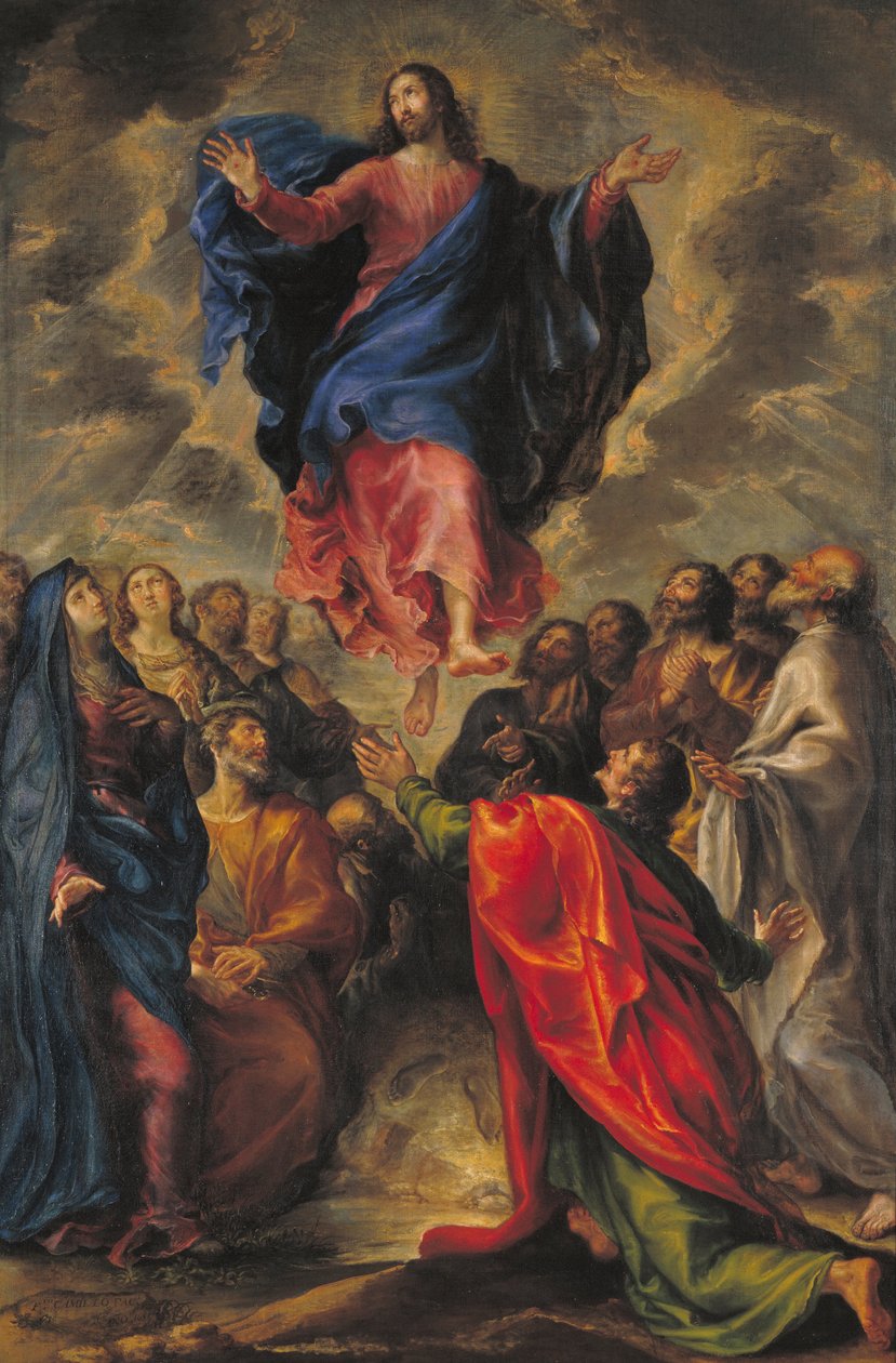Felemelkedés alkotó: Francisco Camilo