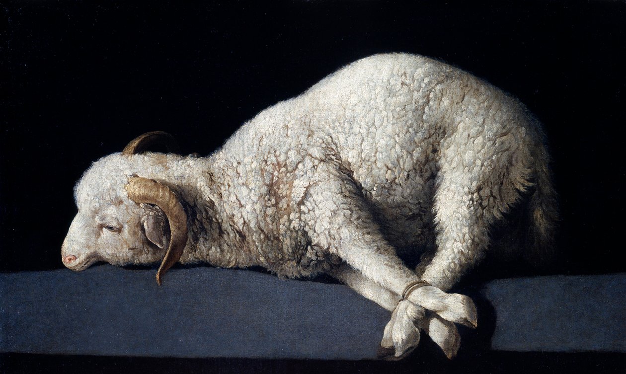 Agnus Dei alkotó: Francisco de Zurbaran