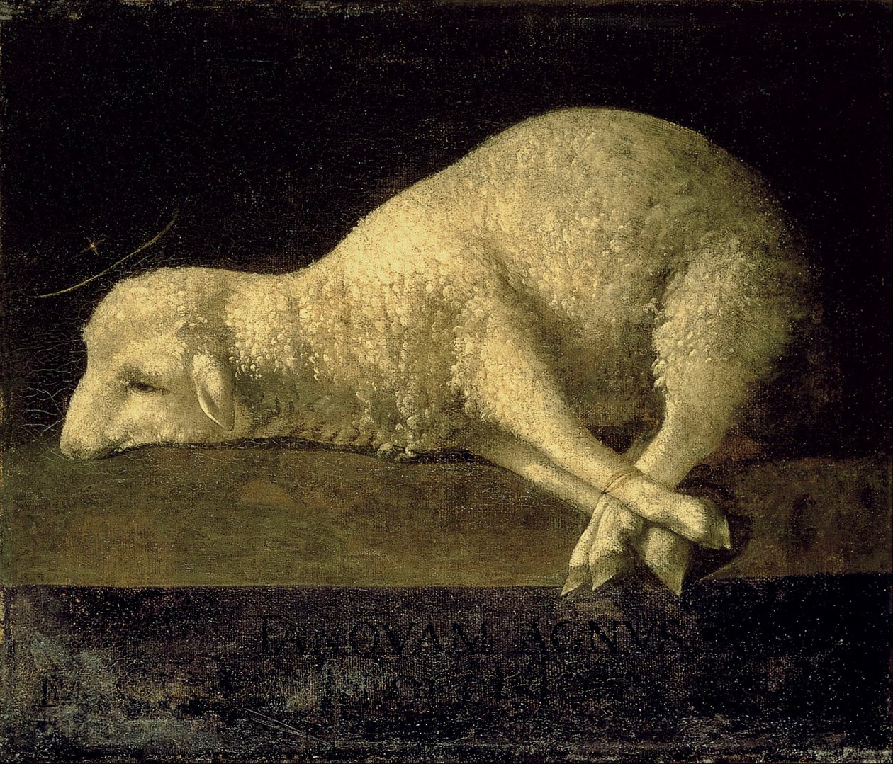 Agnus Dei alkotó: Francisco de Zurbaran
