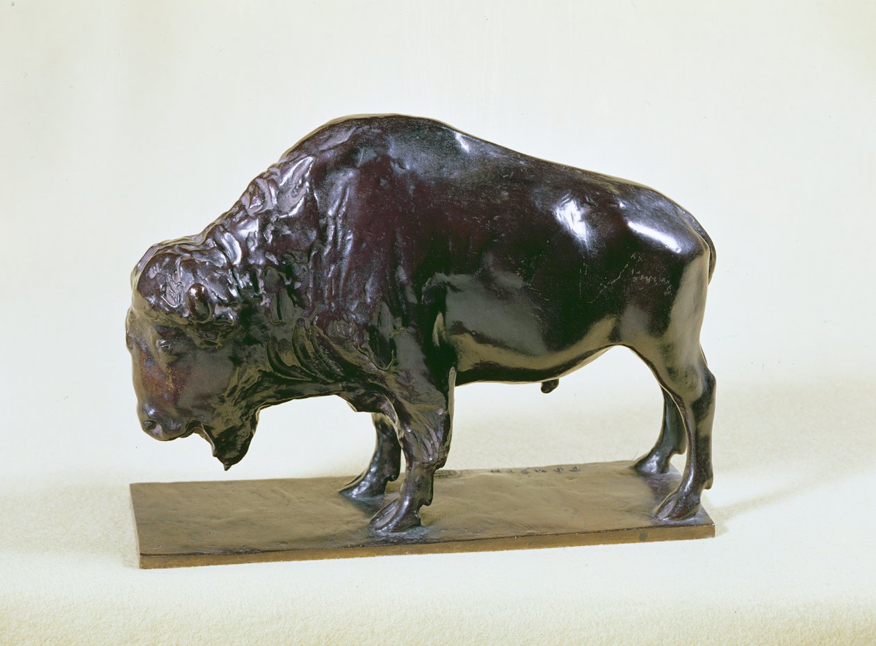 Bölény, 1907 (bronz) alkotó: Francois Pompon