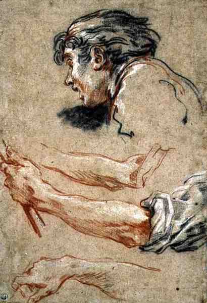 Egy fiú feje (kréta papíron) alkotó: François Boucher