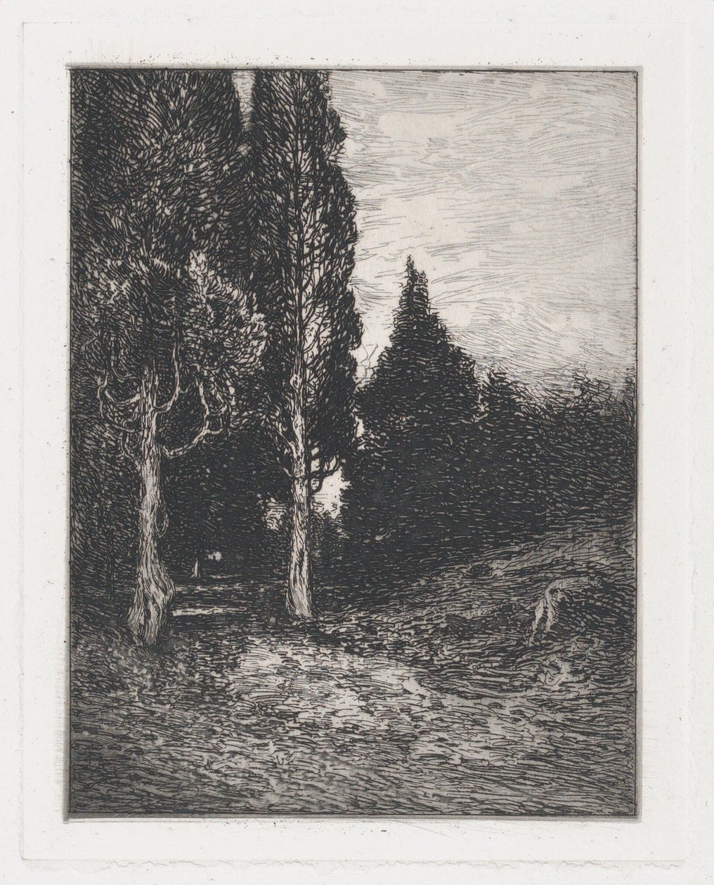 Táj, kb. 1880-91. alkotó: Frank Anderson