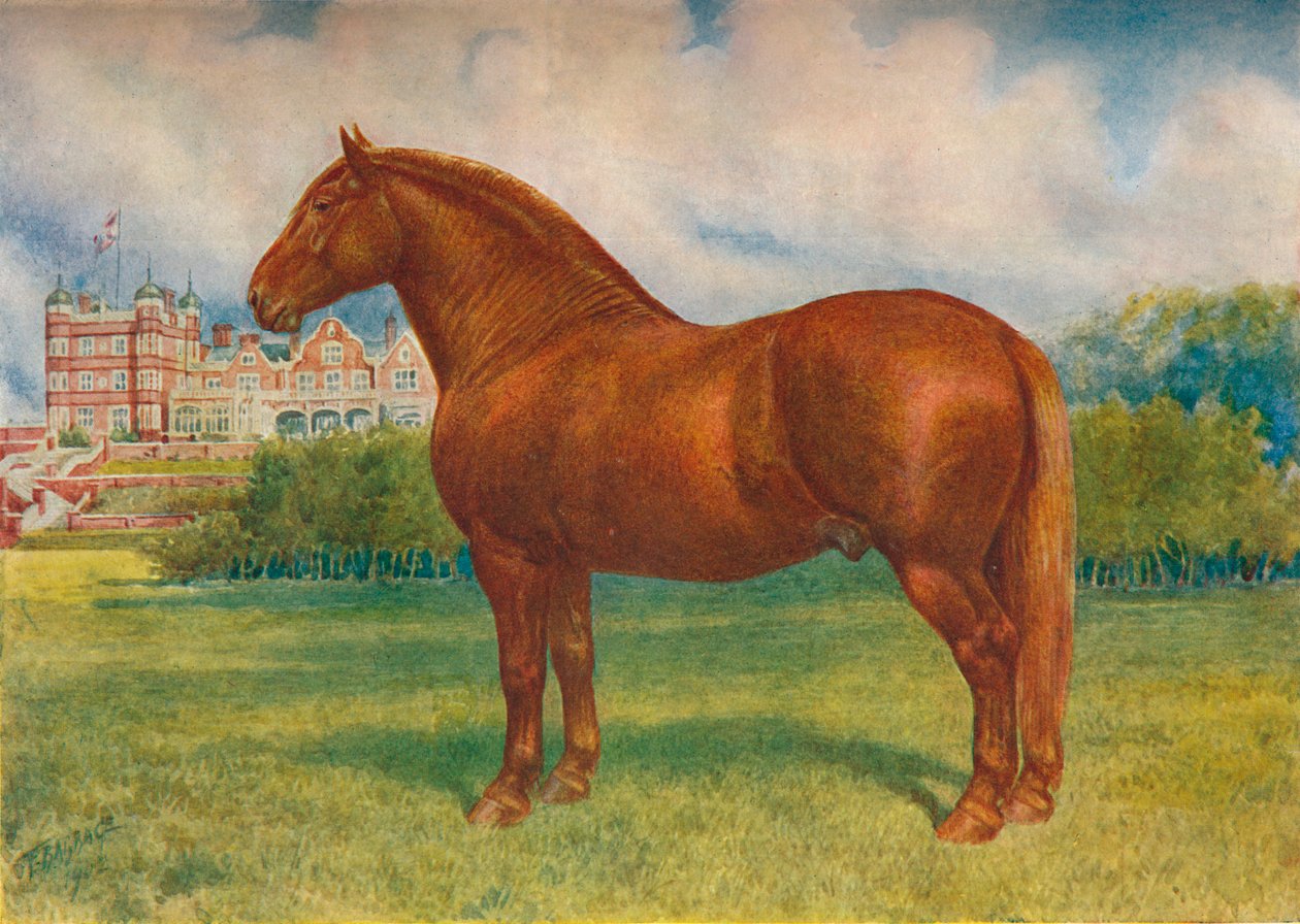 Suffolk apja Wedgwood herceg, c1902 c1910 alkotó: Frank Babbage