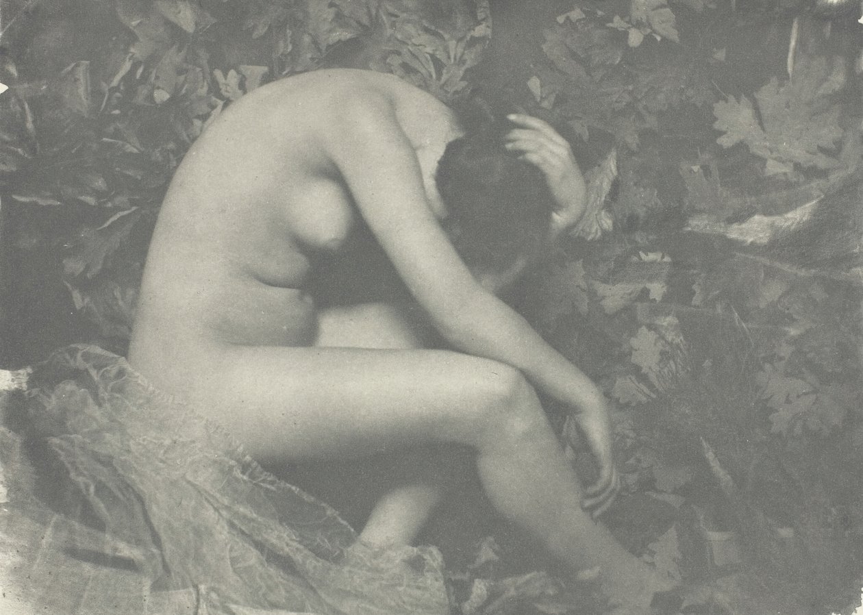 A kabóca, 1898. alkotó: Frank Eugene