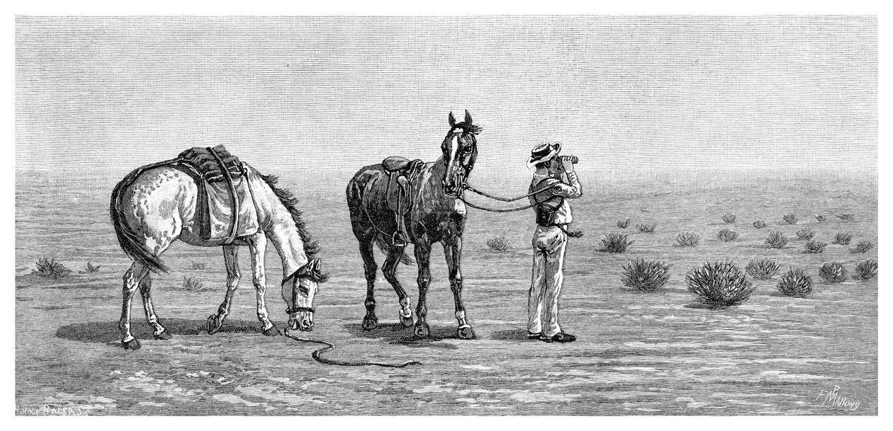 Semmi sem látható, 1886. alkotó: Frank P. Mahony