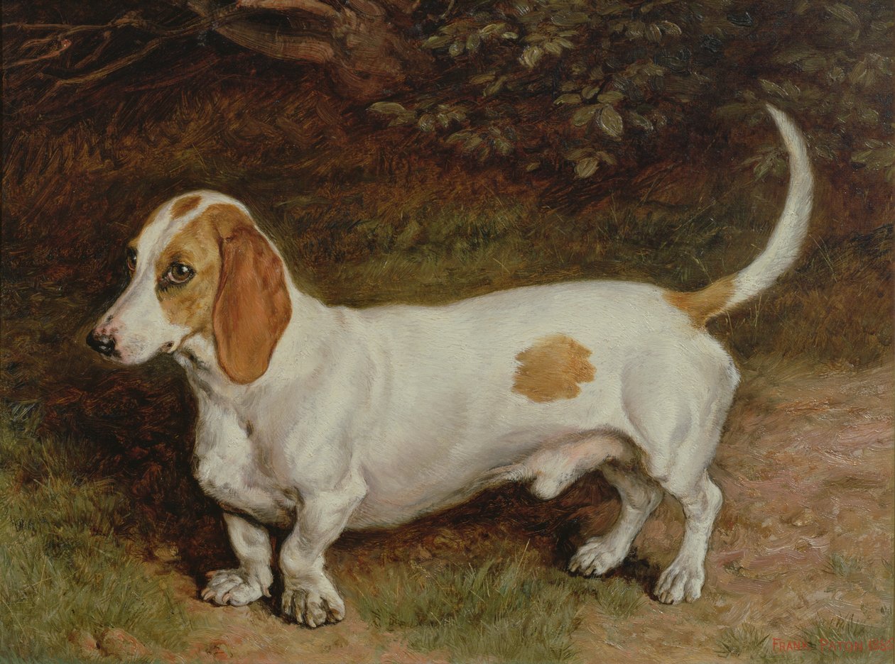 Kedvenc tacskóm, 1885 alkotó: Frank Paton