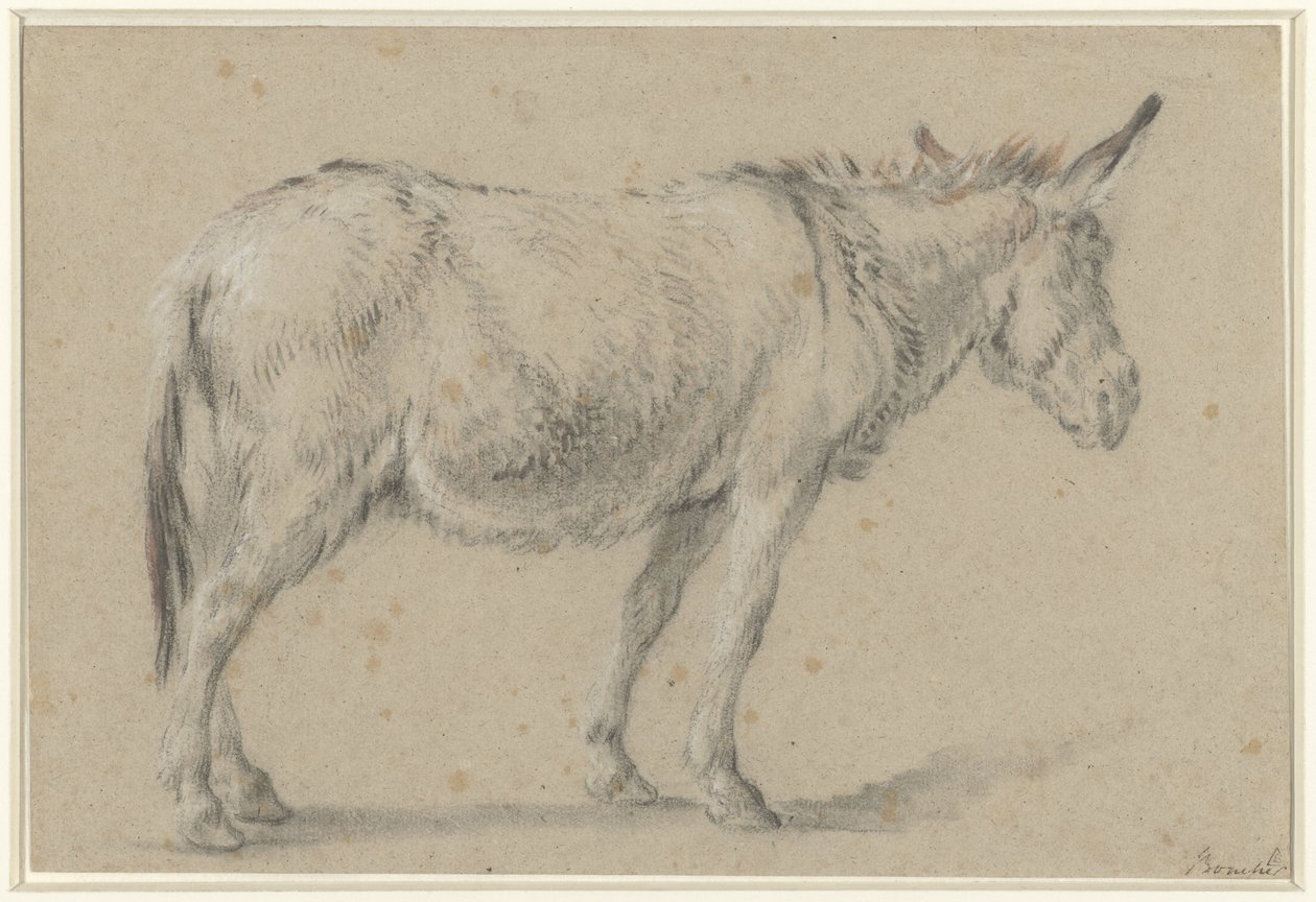 Álló szamár, arccal jobbra alkotó: François Boucher (possibly)