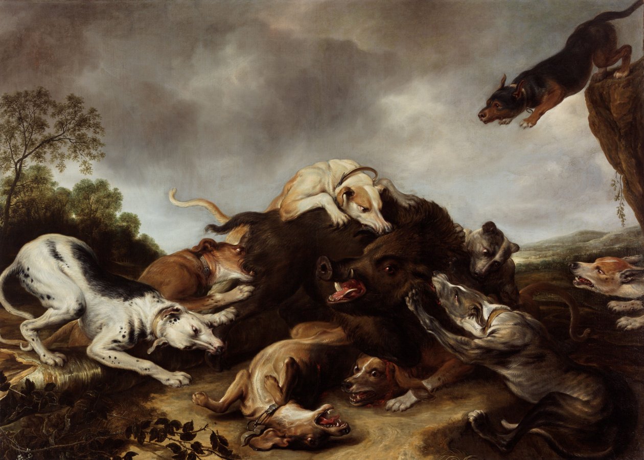 A vaddisznóvadászat alkotó: Frans Snyders or Snijders