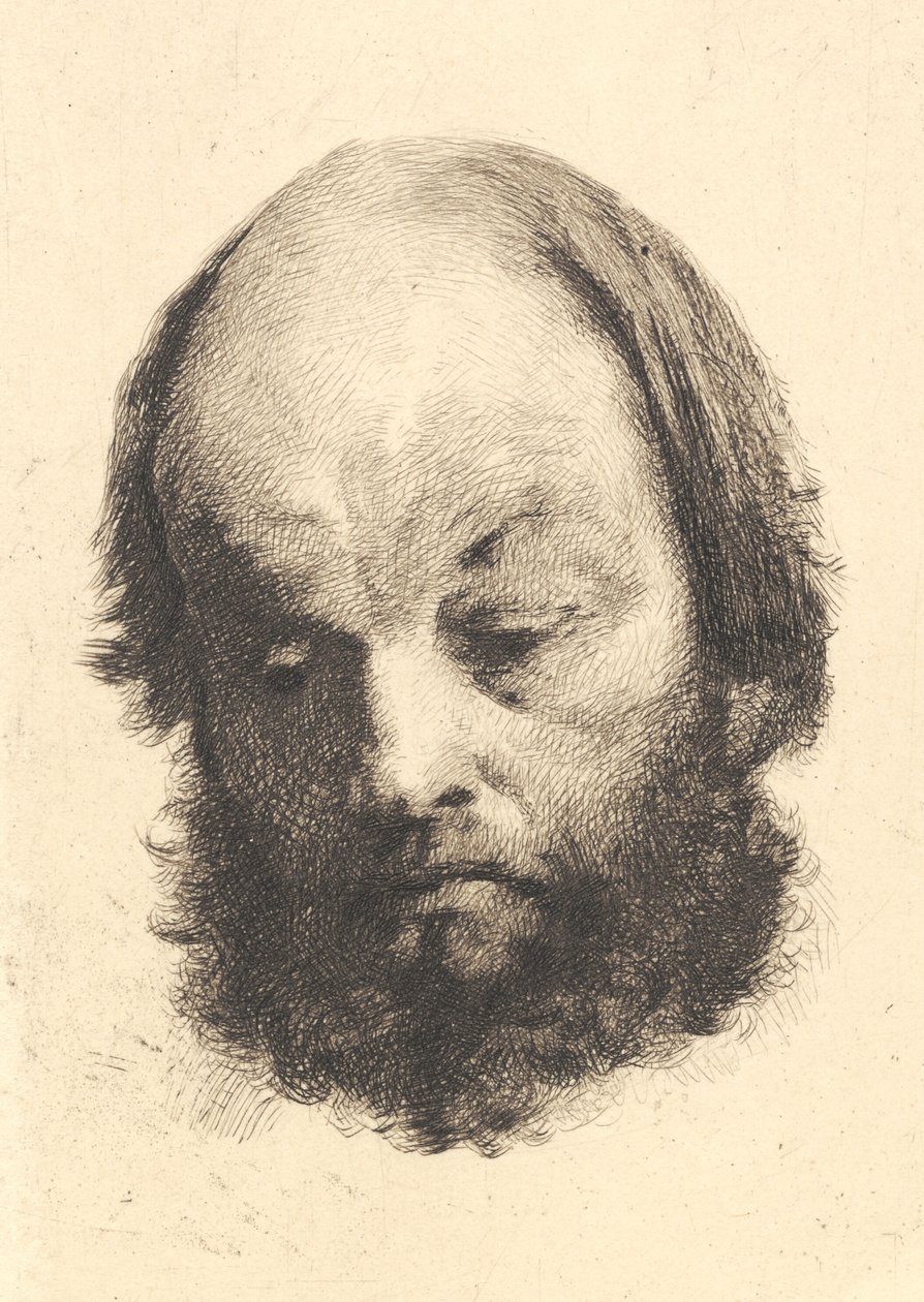 Feketeszakállú férfi, Garibaldi alkotó: Frans Schwartz