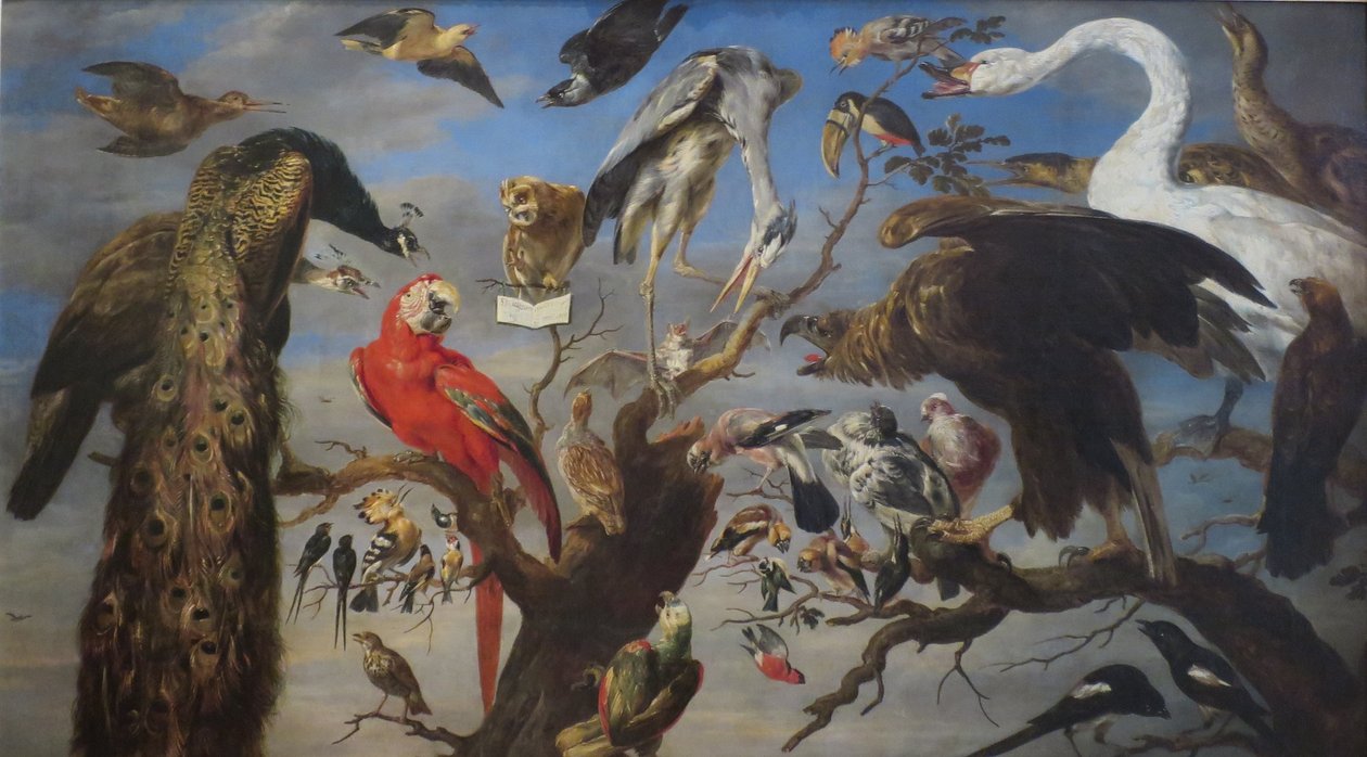 A madarak koncertje alkotó: Frans Snyders