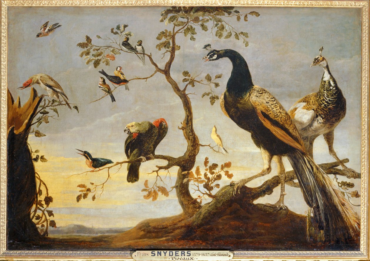 Poseaux az ágakon ... alkotó: Frans Snyders