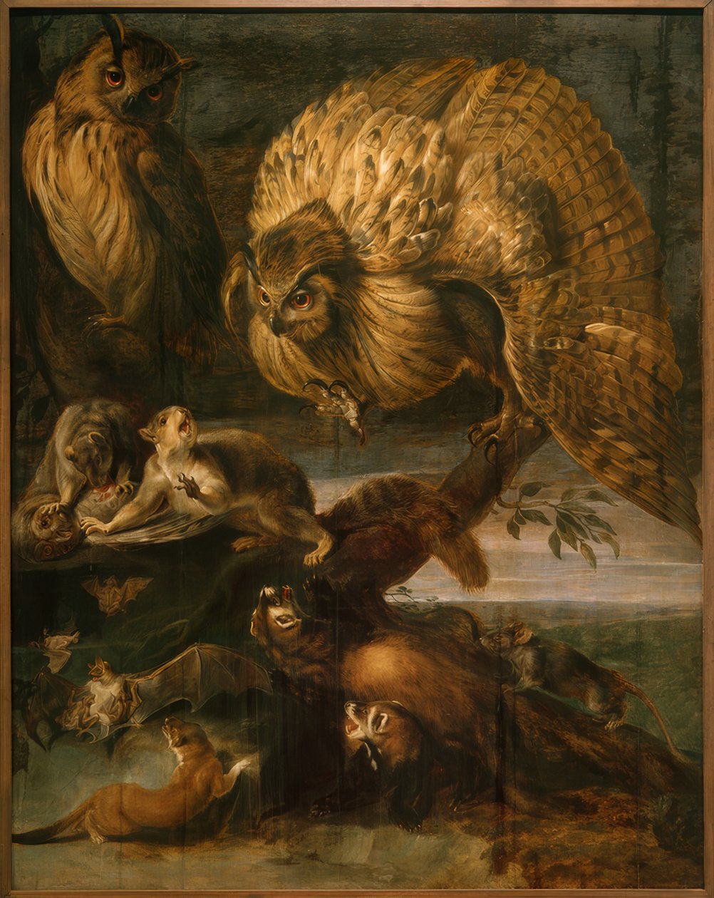 Az éjszaka állatai alkotó: Frans Snyders