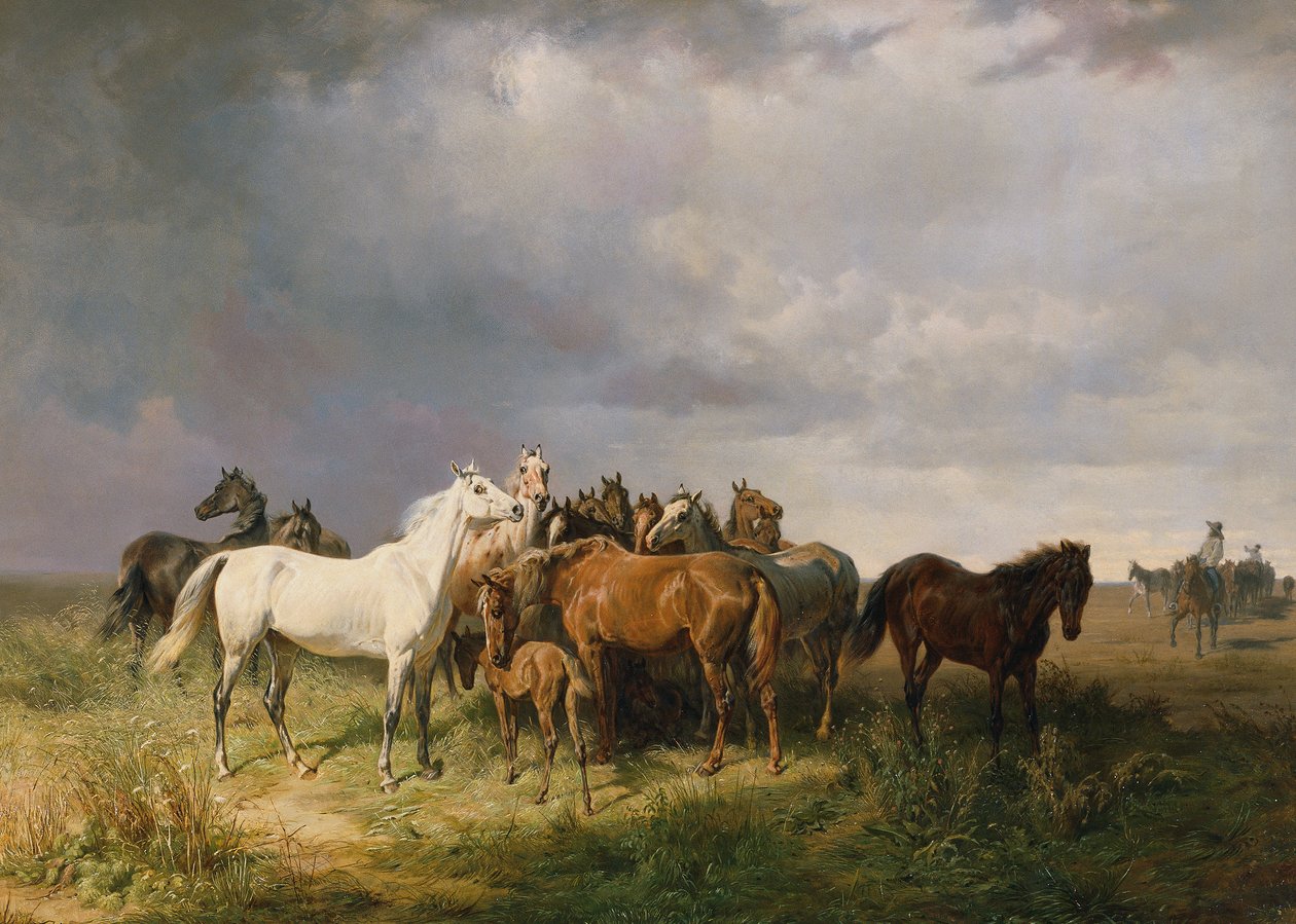 Lovak a Pusztán alkotó: Franz Adam