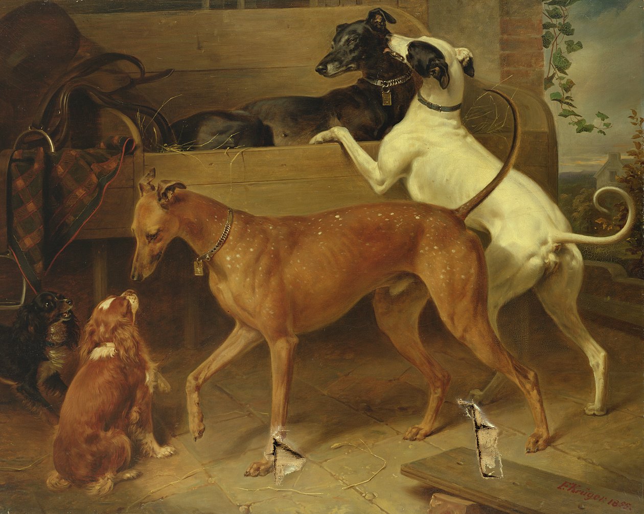 Krugers Dogs, 1855 alkotó: Franz Krüger