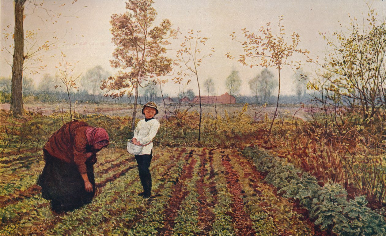 The Violet Field, 1867, c1915 alkotó: Fred Walker