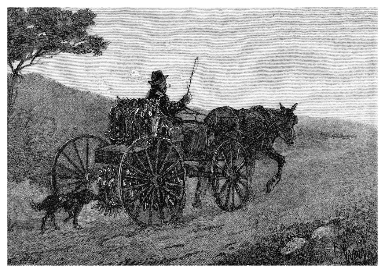 Egy kólaci nyúlfogó, 1886. alkotó: Frederic B. Schell