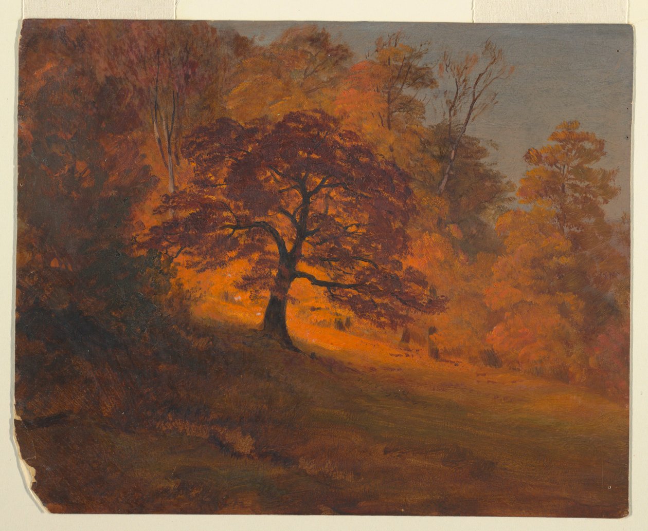 Őszi lombozat alkotó: Frederic Edwin Church