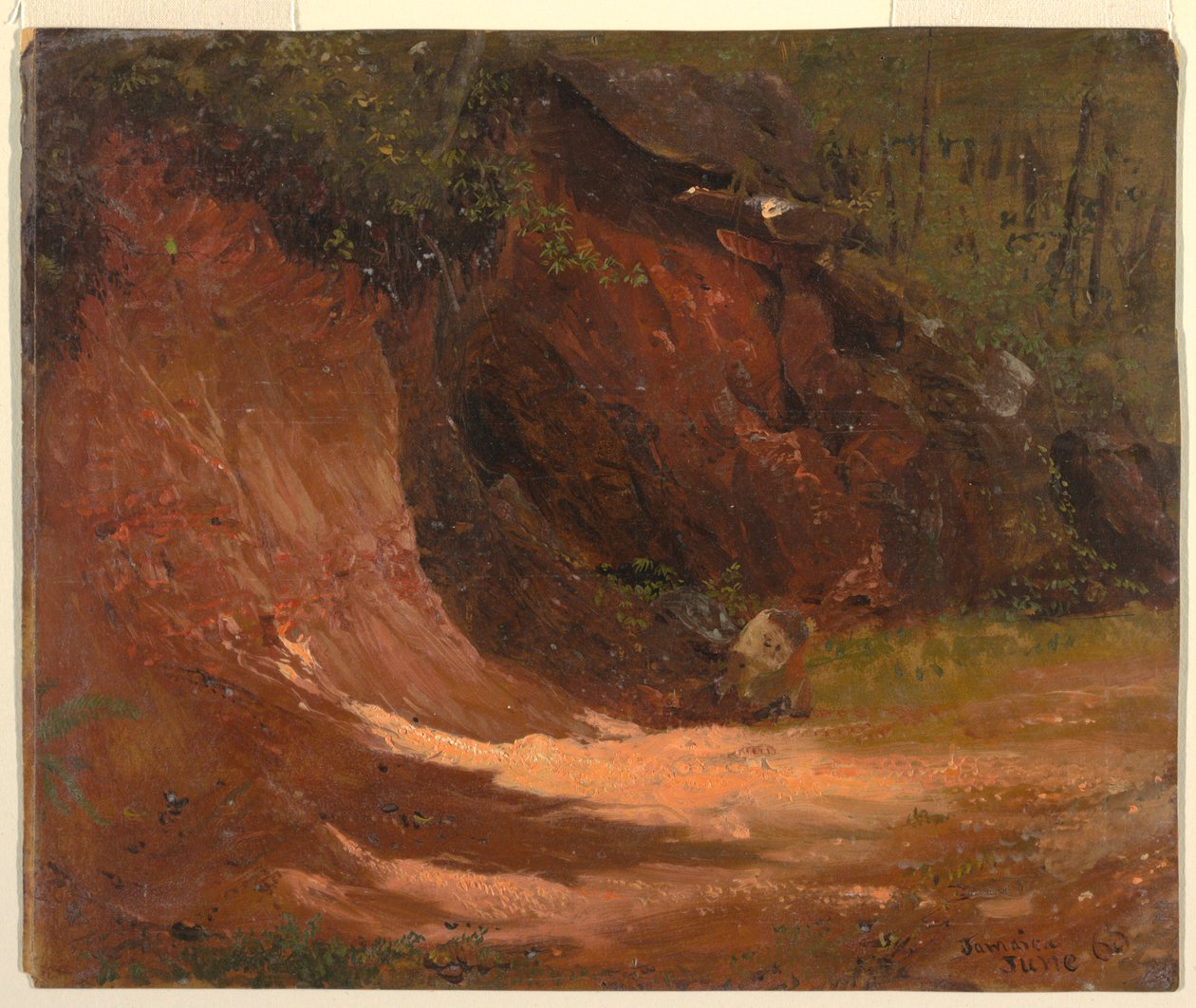 Rajz, Woodland bank, Jamaica, 1865. június alkotó: Frederic Edwin Church